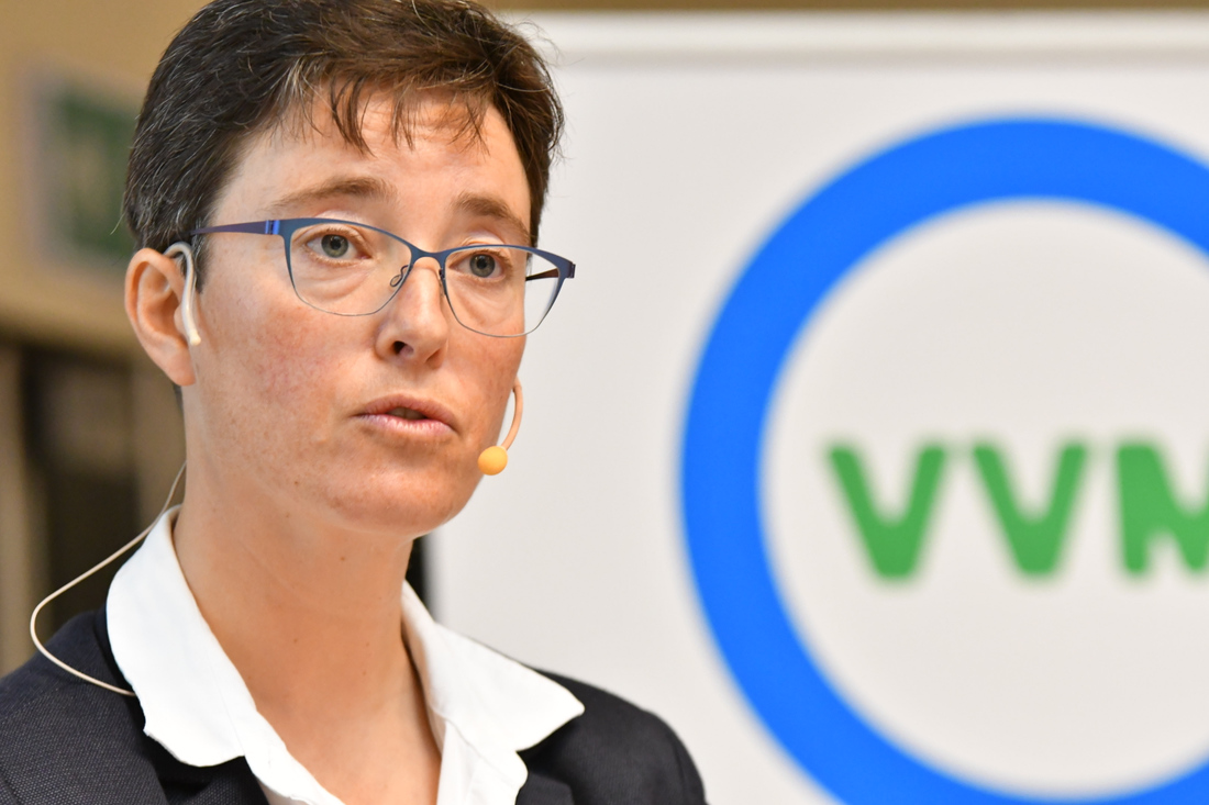 dvdo-mwmw10-1389.NEF.jpg